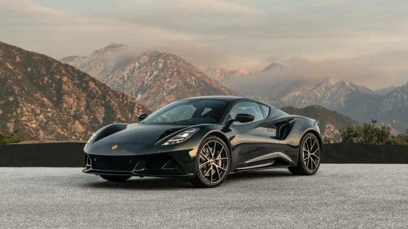 Lotus Press Gallery Emira | Images & Videos