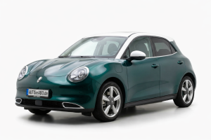 Ora Funky Cat Leasing