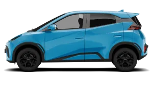 Byd Dolphin Surf Leasing